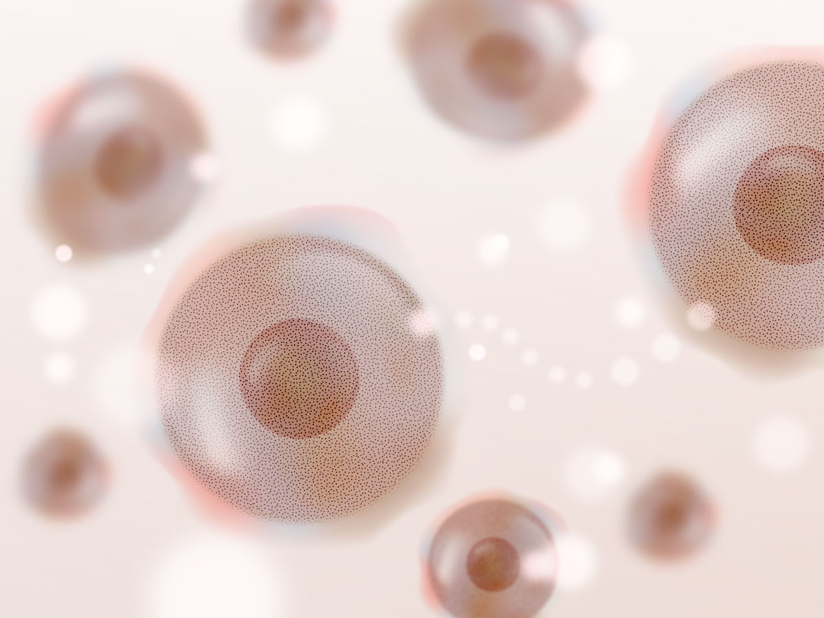 feat0<br />
<b>Warning</b>:  Undefined variable $i in <b>/home/xs171376/reunet.jp/public_html/trial22/wp/wp-content/themes/reutrial/parts/loop_features.php</b> on line <b>20</b><br />
<br />
<b>Warning</b>:  Undefined variable $count in <b>/home/xs171376/reunet.jp/public_html/trial22/wp/wp-content/themes/reutrial/parts/loop_features.php</b> on line <b>20</b><br />
2